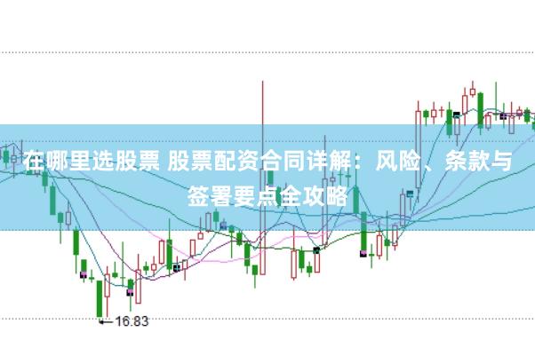 在哪里选股票 股票配资合同详解：风险、条款与签署要点全攻略