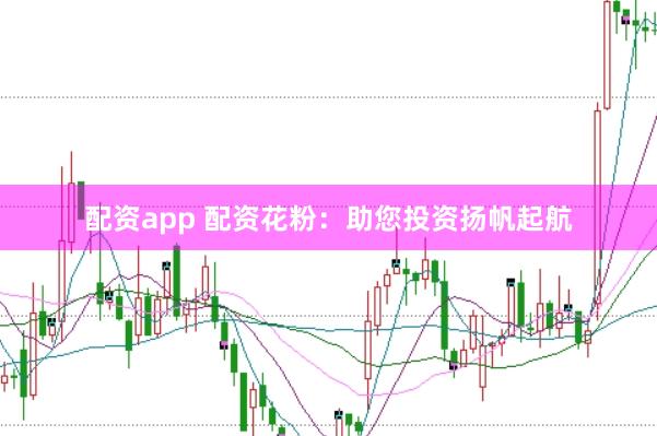 配资app 配资花粉：助您投资扬帆起航
