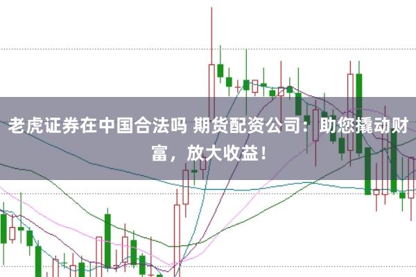 老虎证券在中国合法吗 期货配资公司：助您撬动财富，放大收益！
