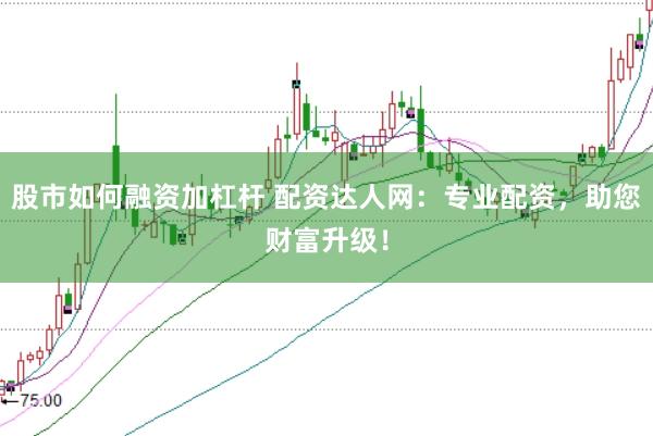 股市如何融资加杠杆 配资达人网：专业配资，助您财富升级！