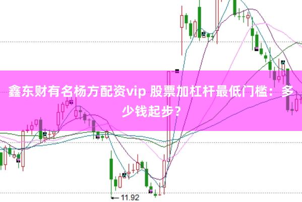 鑫东财有名杨方配资vip 股票加杠杆最低门槛：多少钱起步？