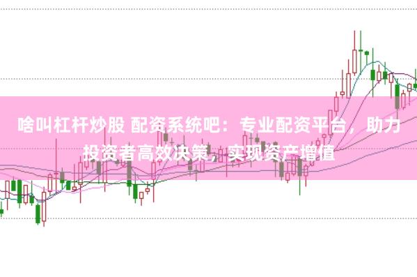 啥叫杠杆炒股 配资系统吧：专业配资平台，助力投资者高效决策，实现资产增值