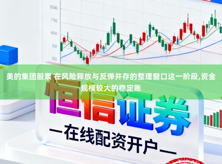 美的集团股票 在风险释放与反弹并存的整理窗口这一阶段，资金规模较大的稳定账
