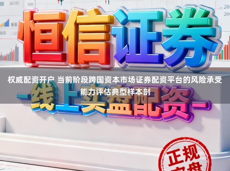 权威配资开户 当前阶段跨国资本市场证券配资平台的风险承受能力评估典型样本剖
