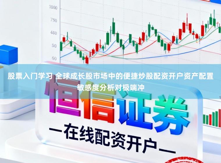 股票入门学习 全球成长股市场中的便捷炒股配资开户资产配置敏感度分析对极端冲